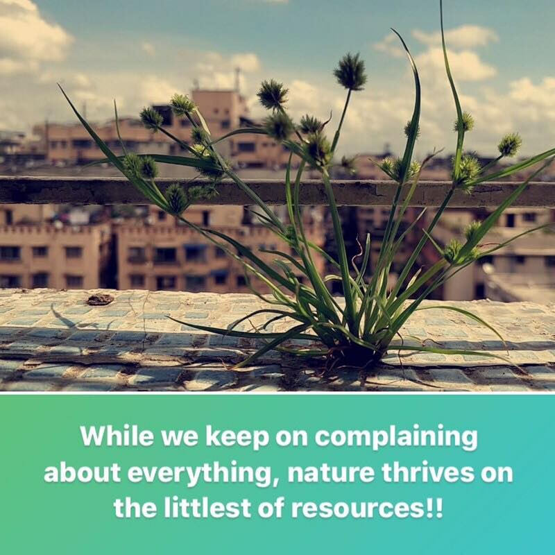 com-img