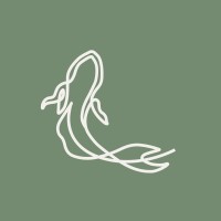 Koi by Kanchi